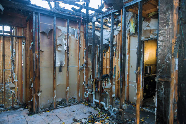 Professional Fire Damage Assessment technician working in Alexandria, KY