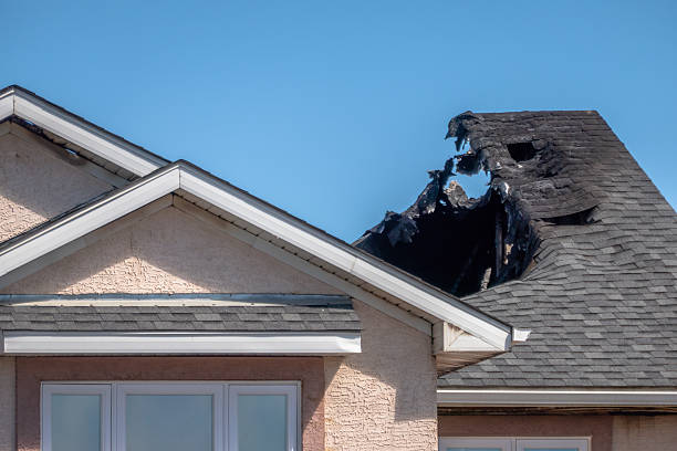 Top rated local Fire Damage Assessment specialists in Alexandria, KY